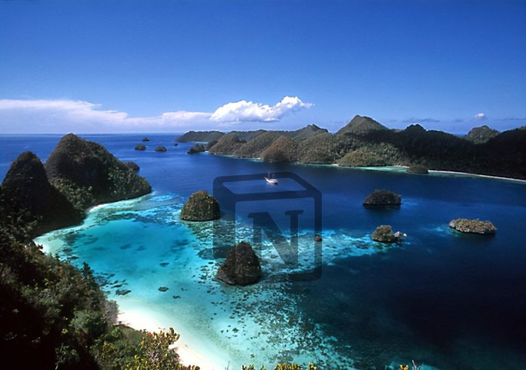 taman laut Sulawesi