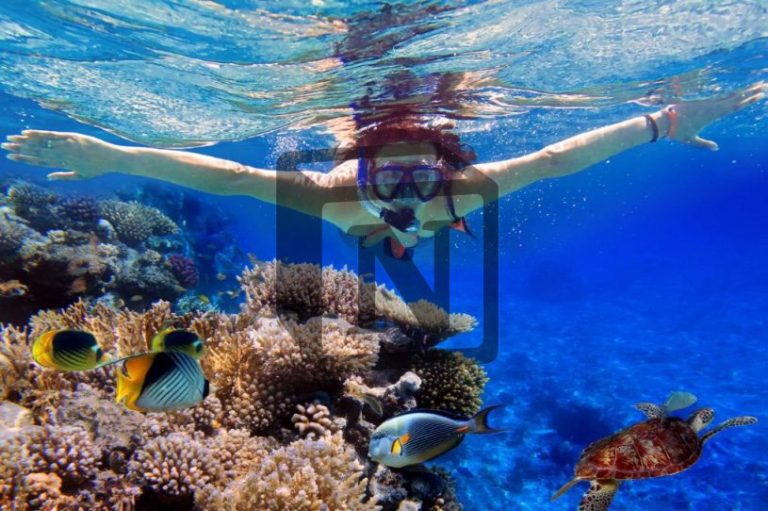 Snorkelling Nusa Penida