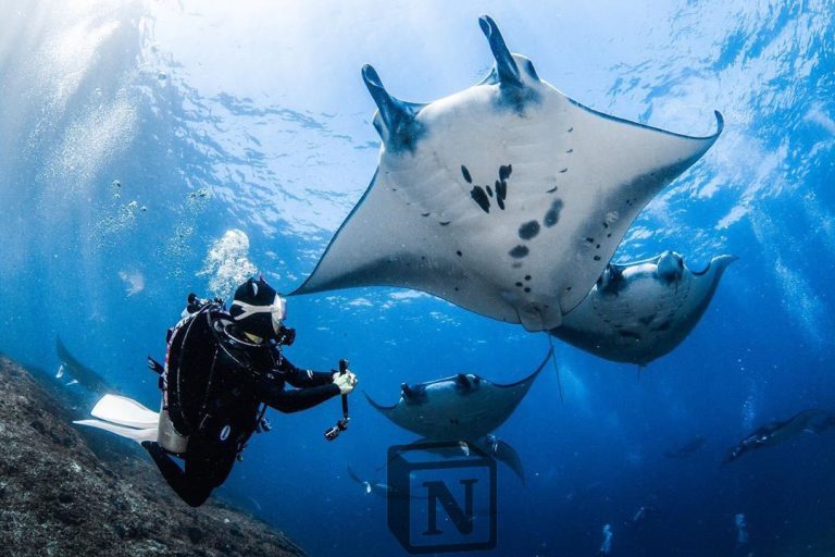 Tempat Diving di Bali